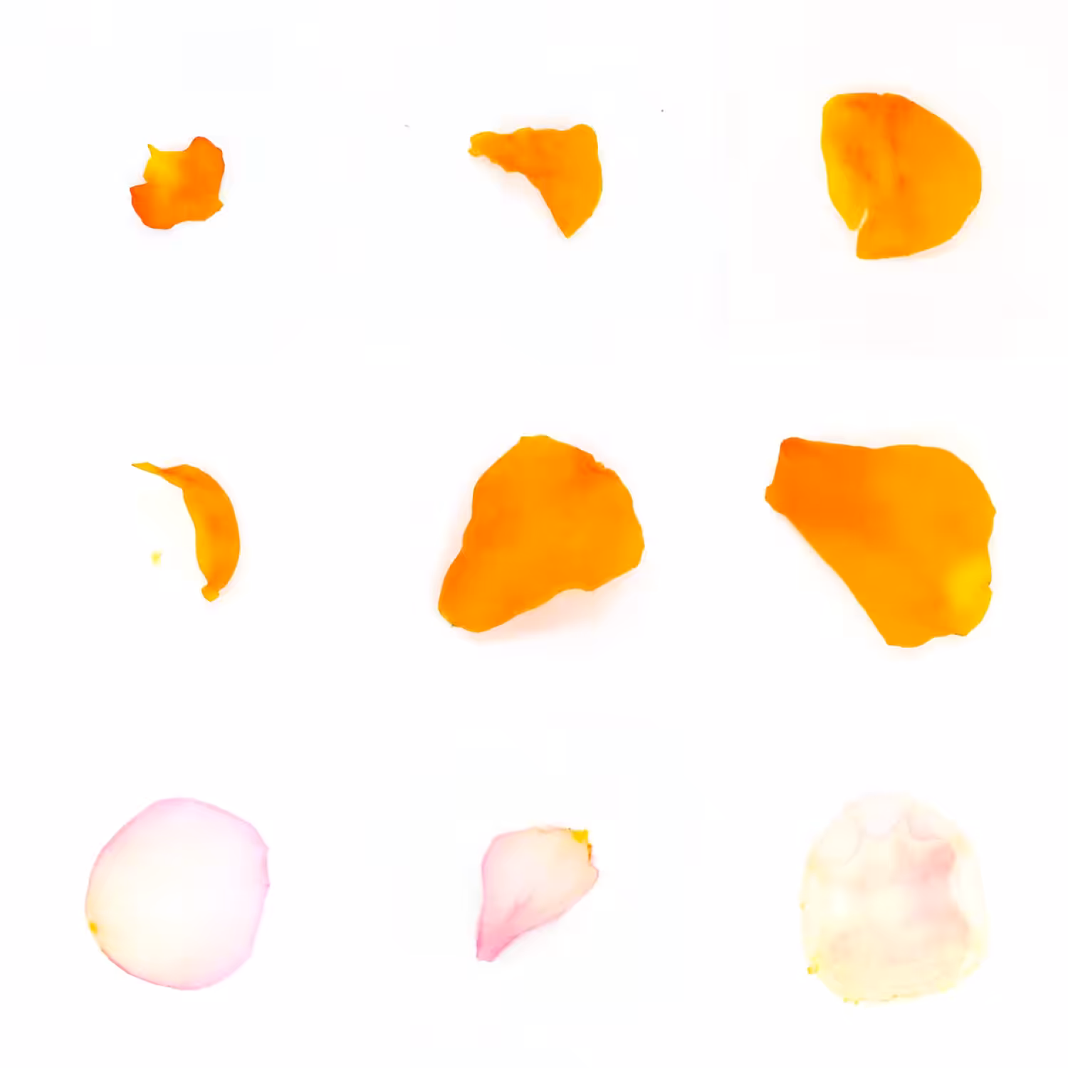 Infinite Petals 3x3#1078