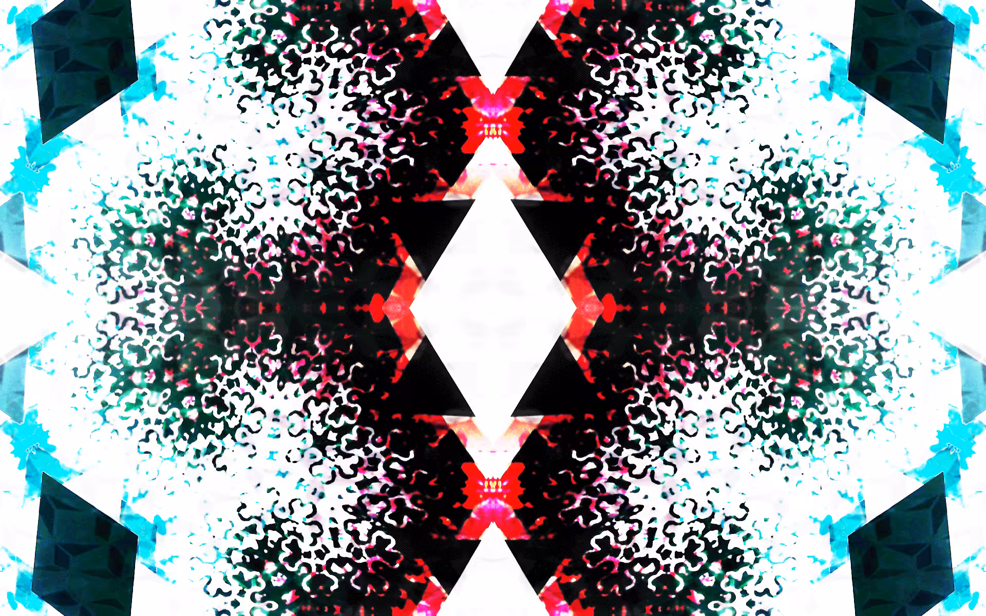 Computer Observing Itself 003