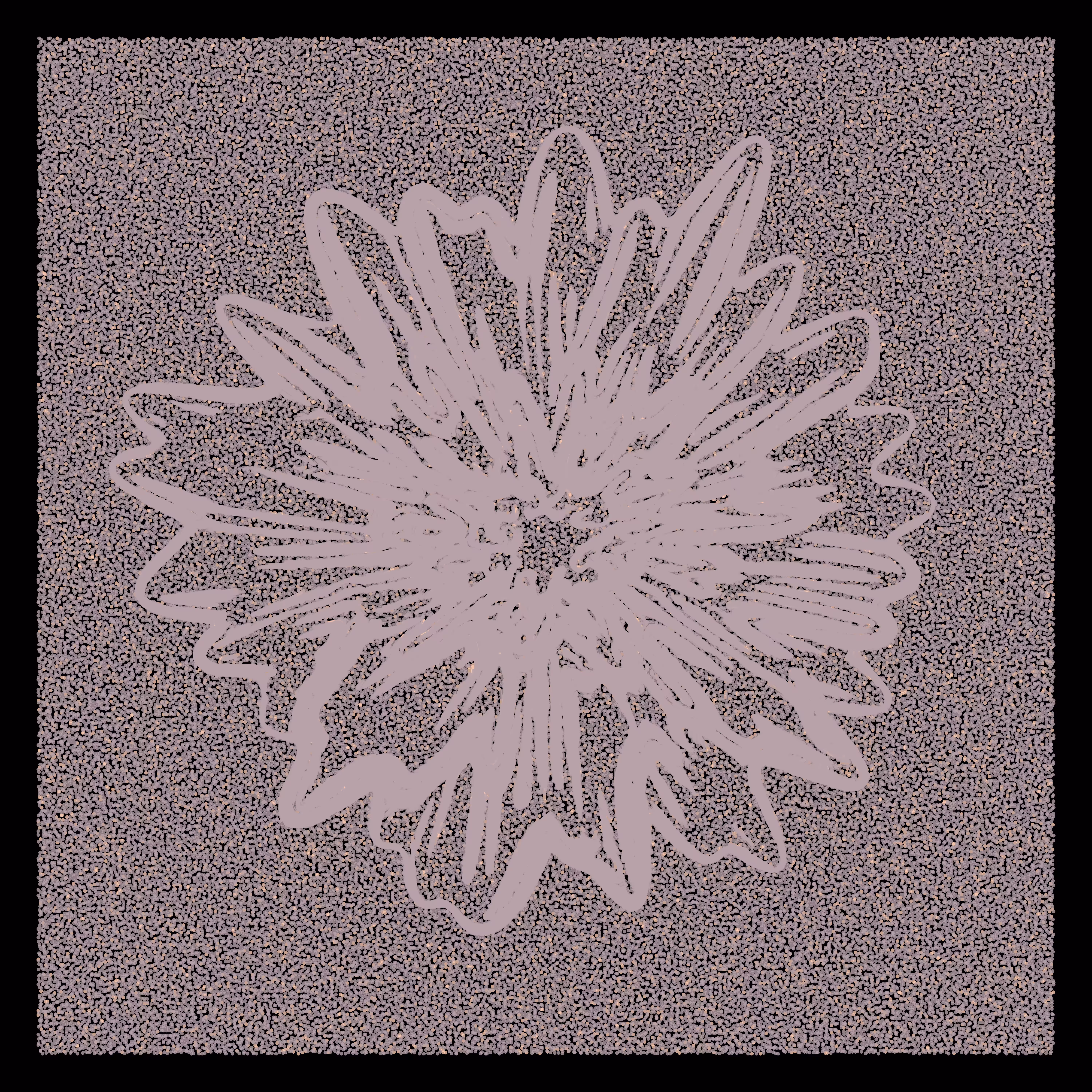 Flower Portrait #46