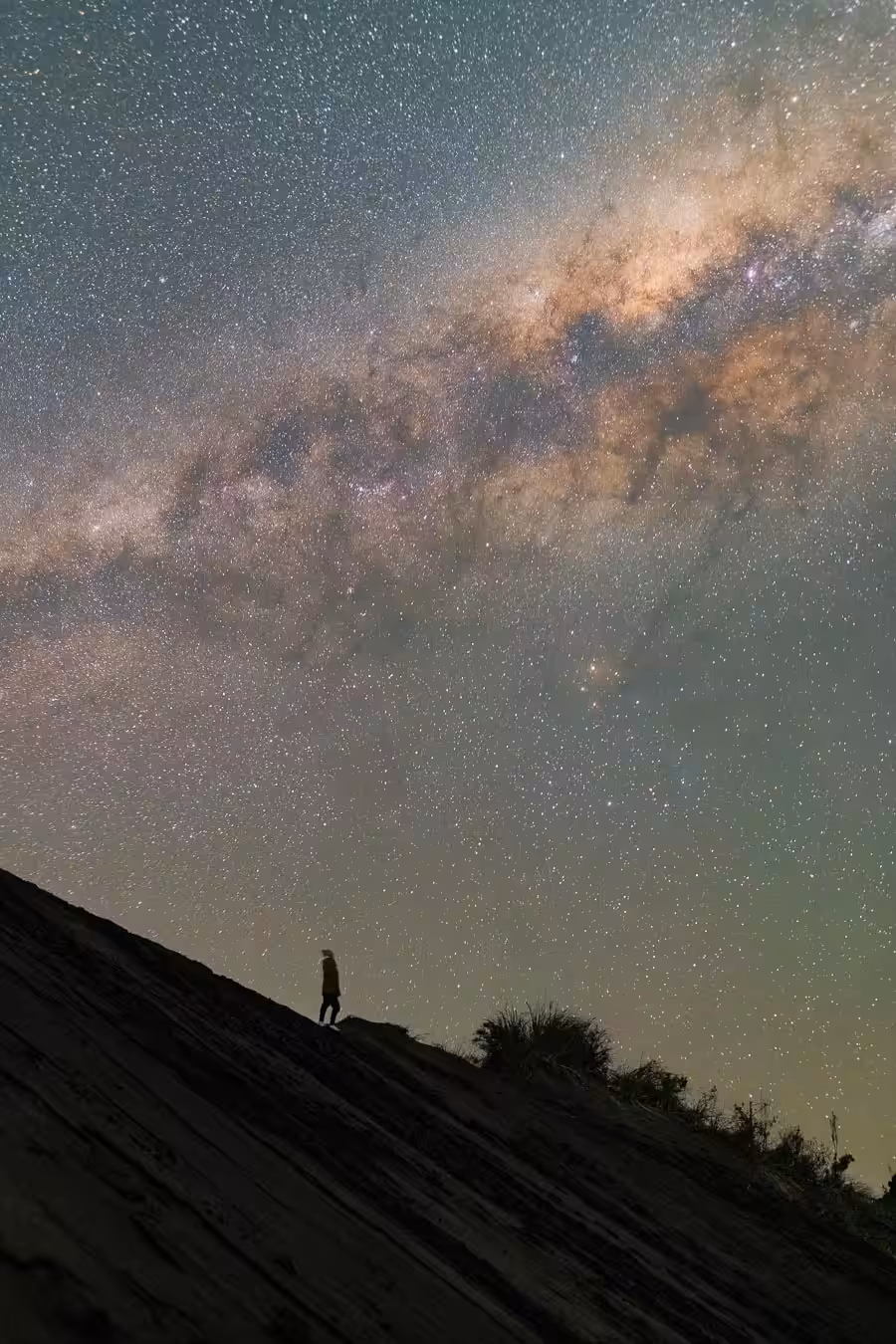 Stargazer