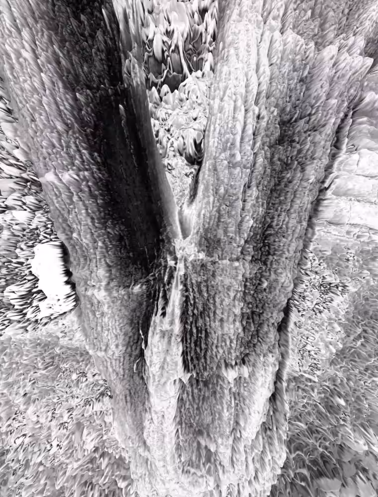 Trees & Leaves (beta)