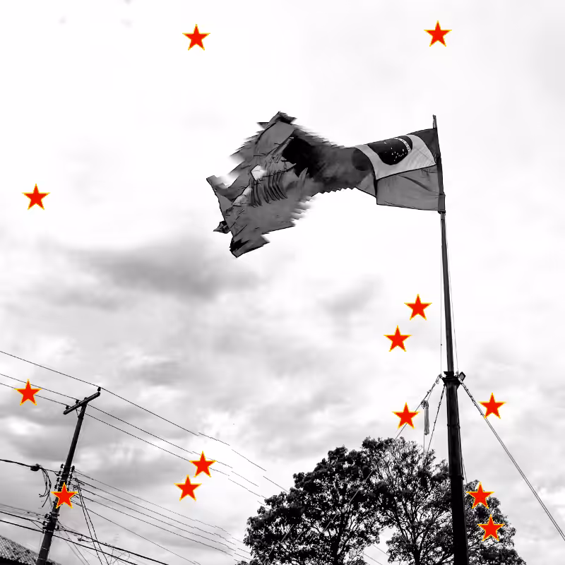 For democracy of Brazil #36