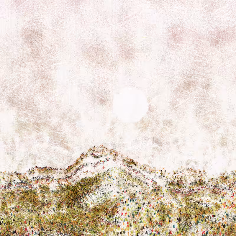 Cold Mountain #330