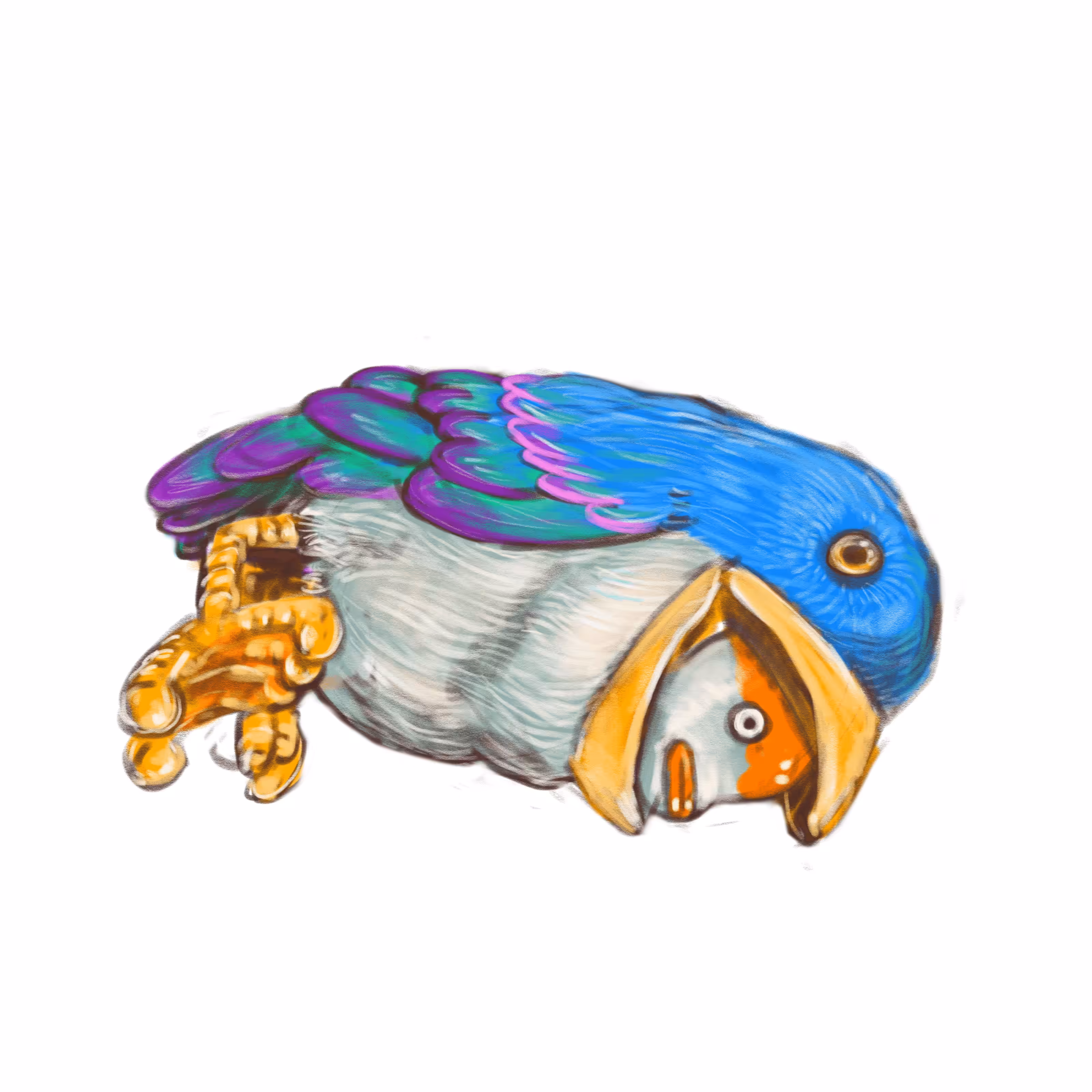 blue bird