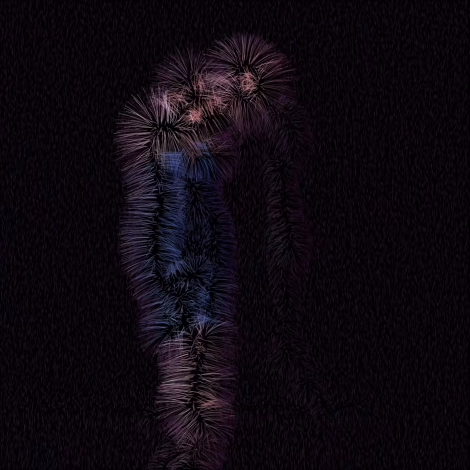 tango º_º b