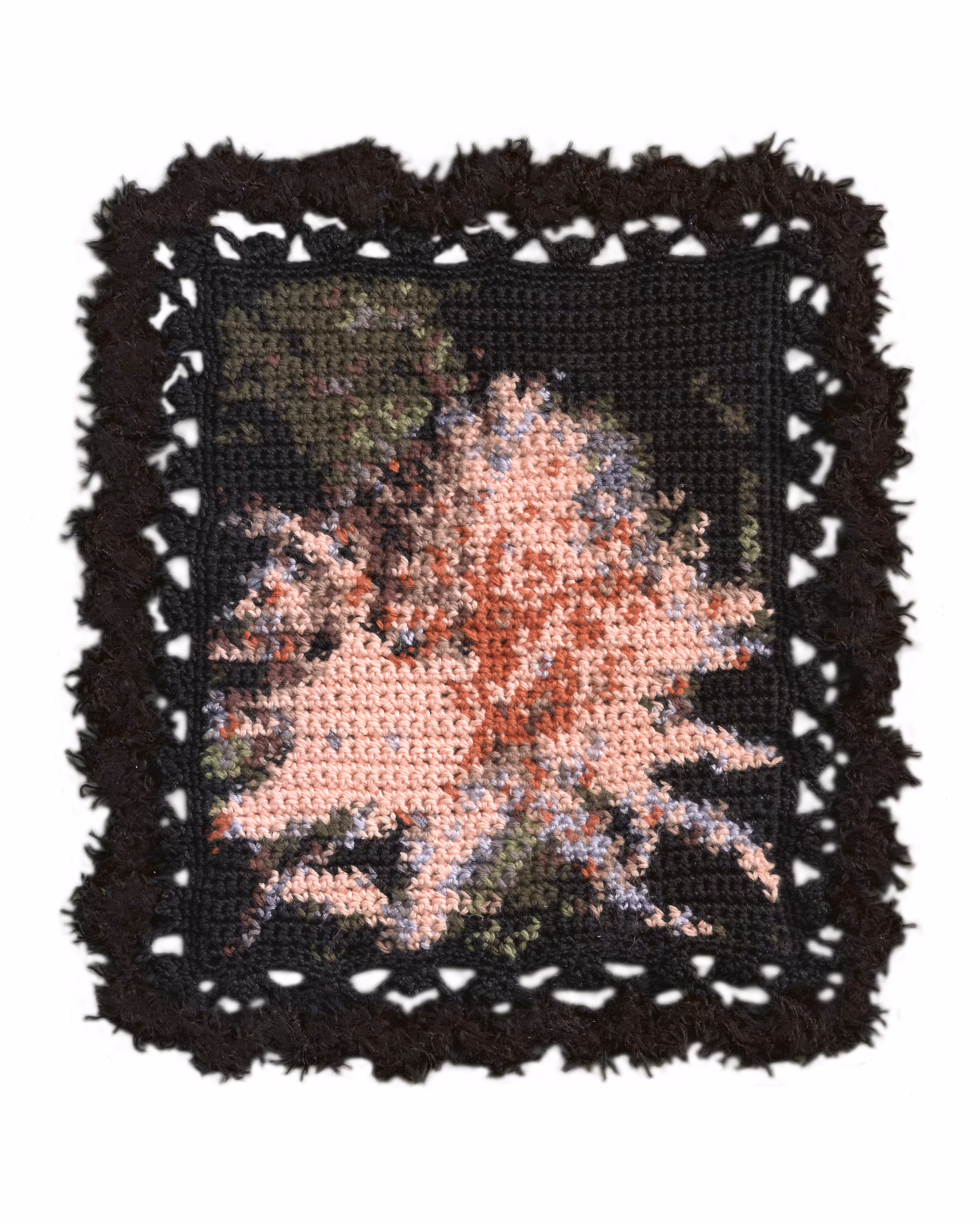 Bromeliad crochet