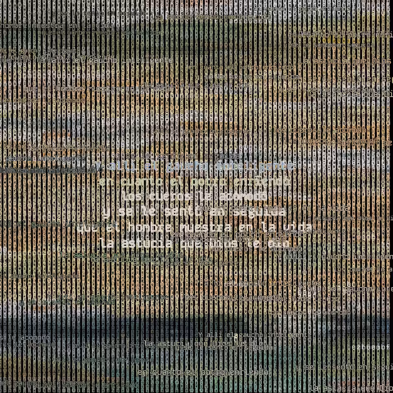 A hacker in the Pampas #148