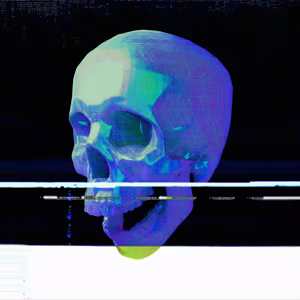 404SKULLS - 054