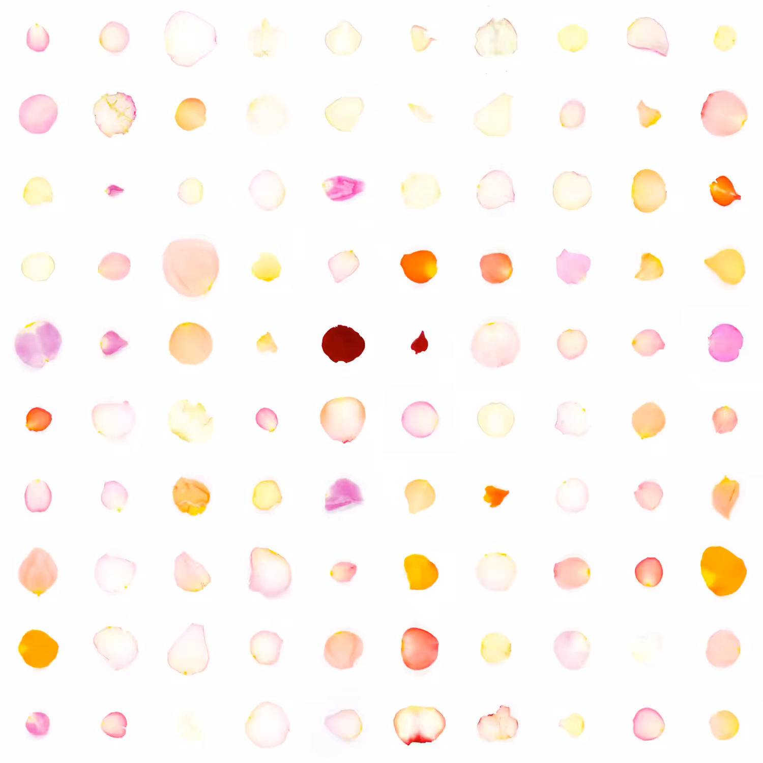 Infinite Petals 10x10#1295