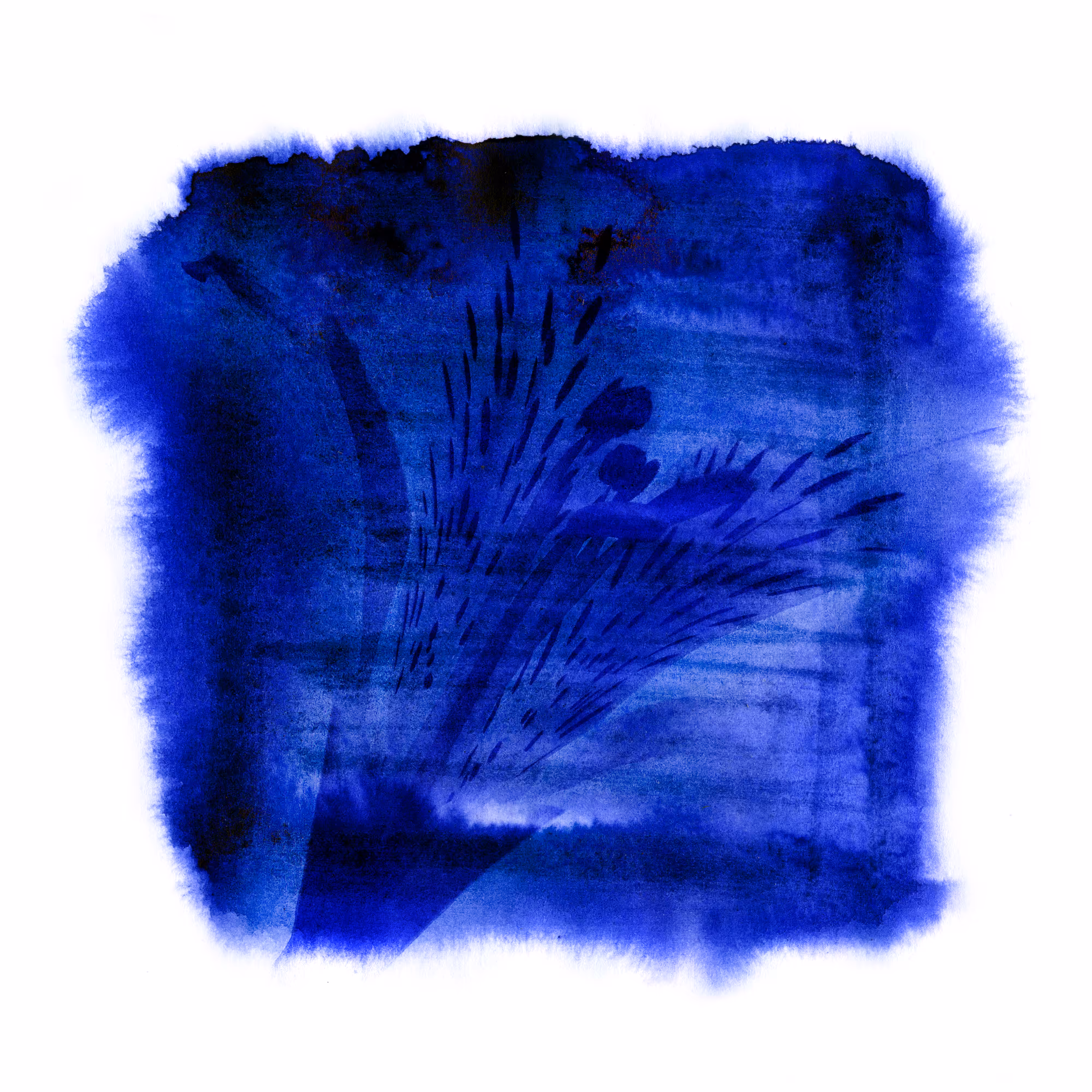 Blues garden #09
