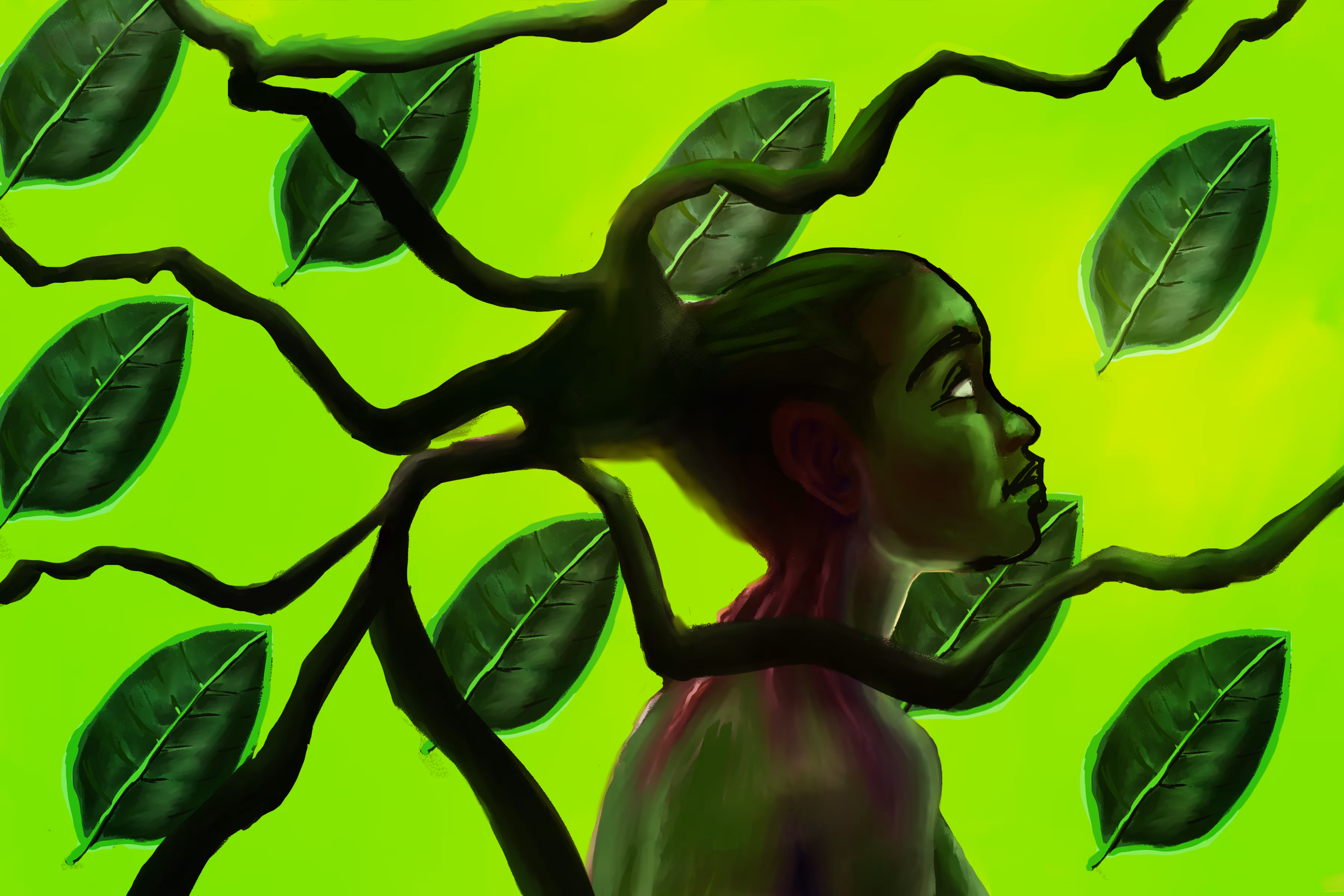 Lime Light