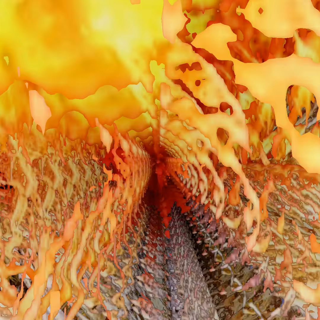 self-combustion 02