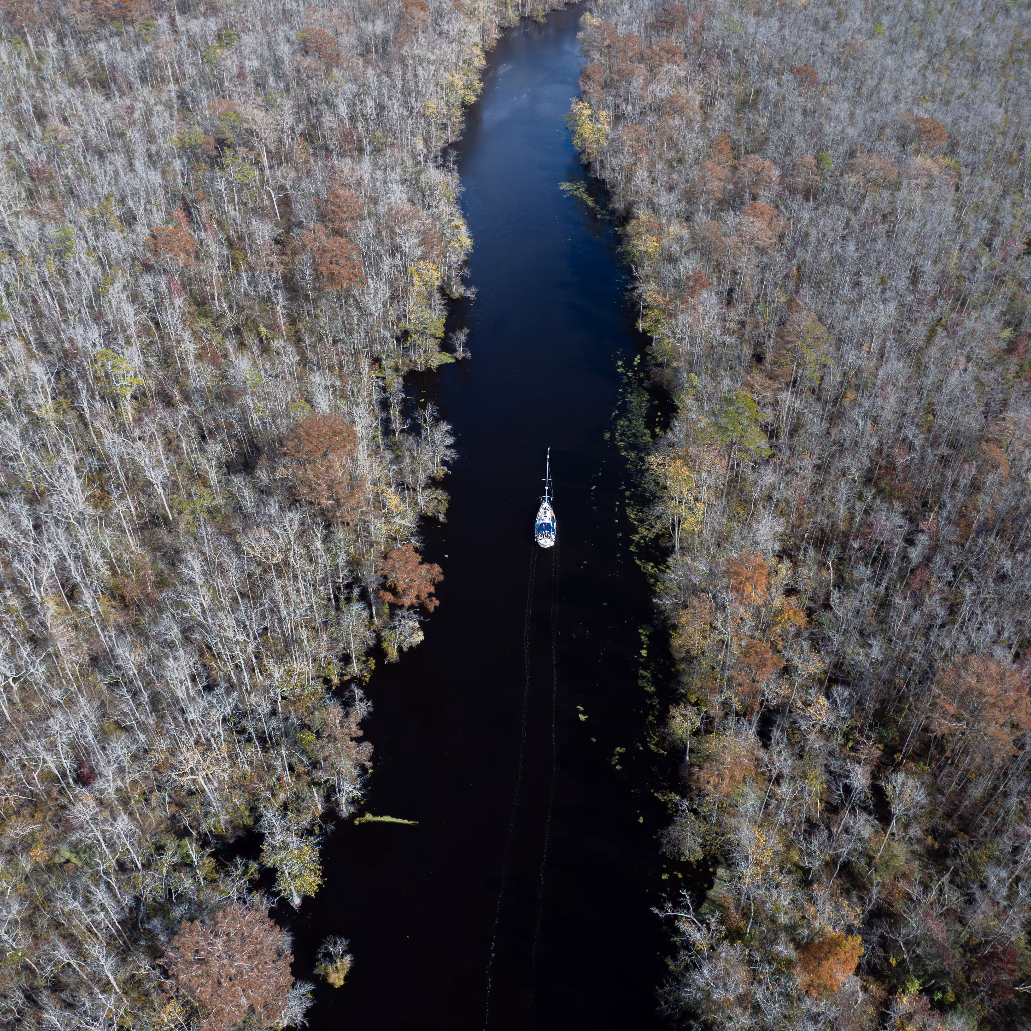 Blackwater 