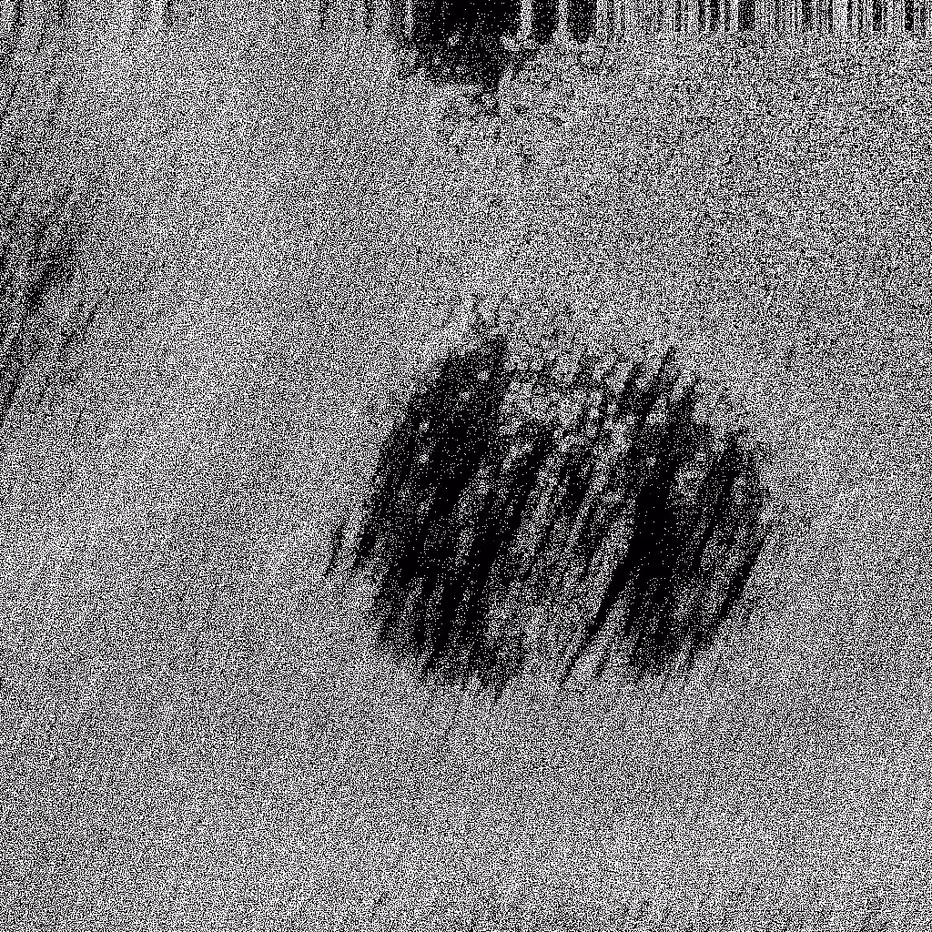 Noise #307 