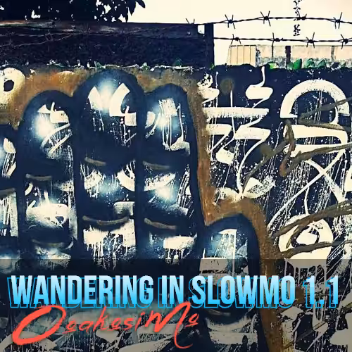 Wandering in SlowMo 1.1