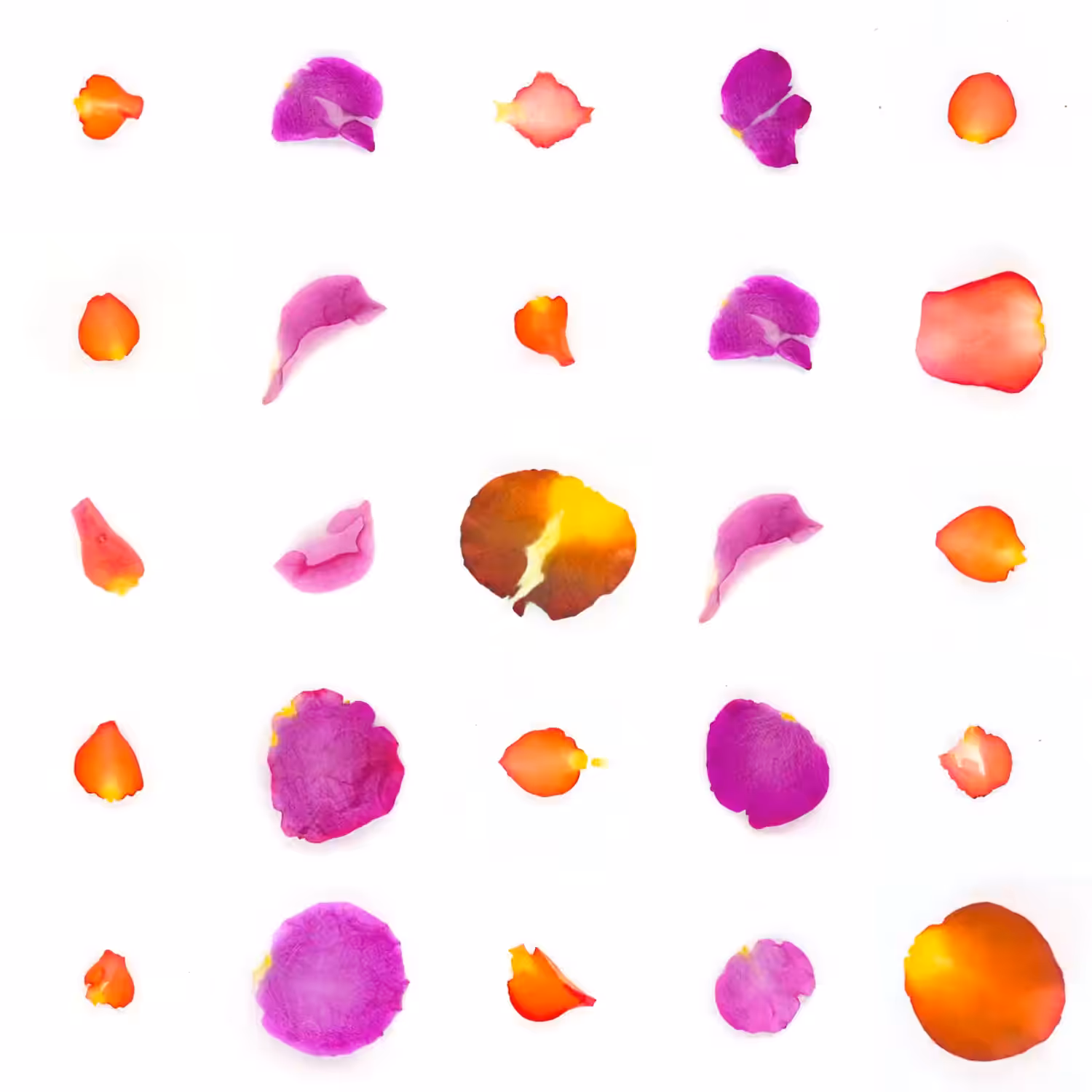 Infinite Petals 5x5#2555