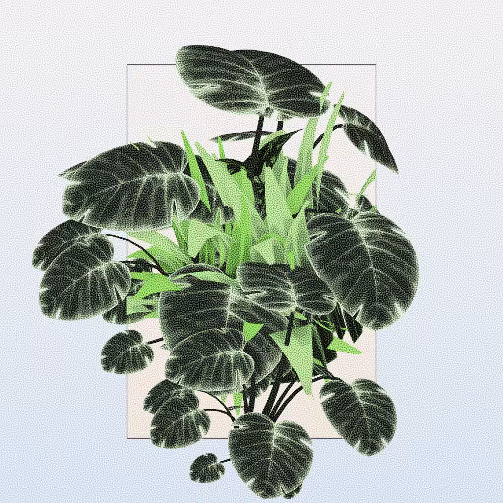 Botany #280