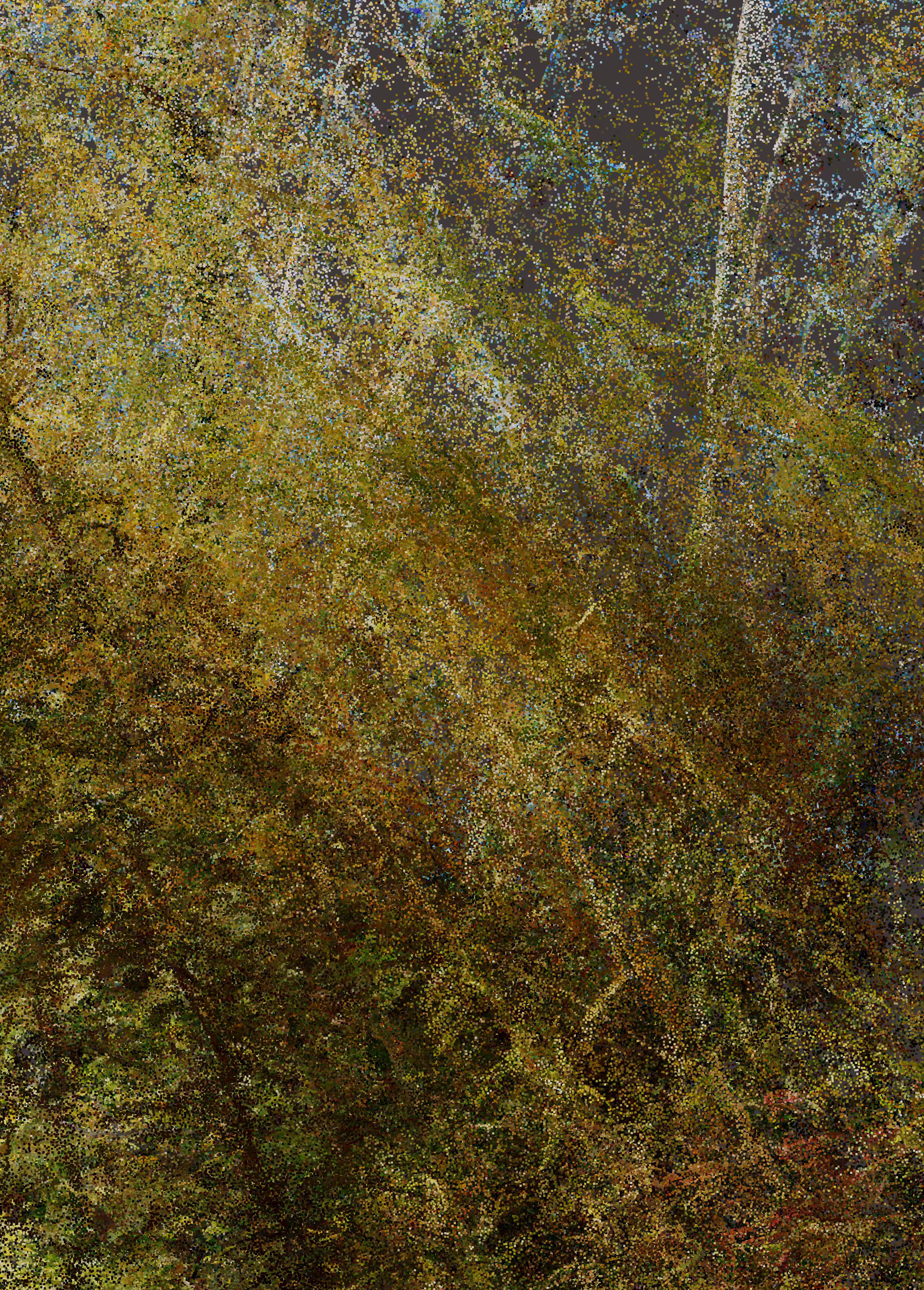 Provence G_01-5