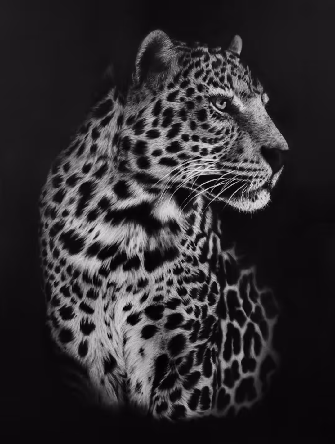Savage Leopard