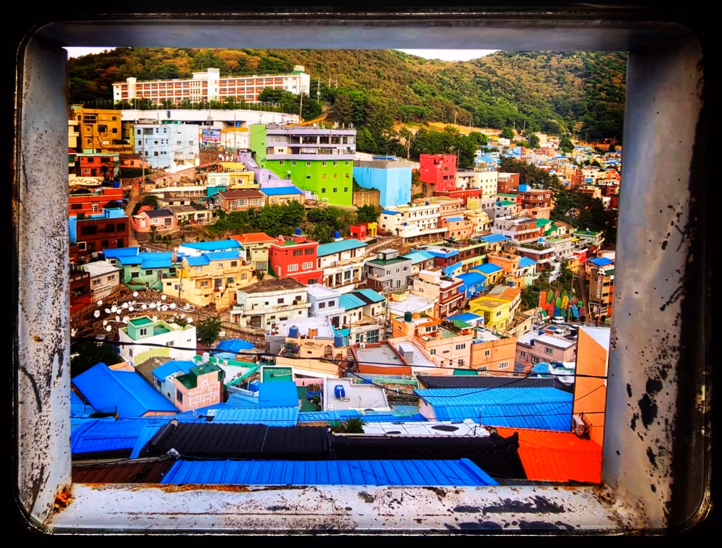 Framed Beauty