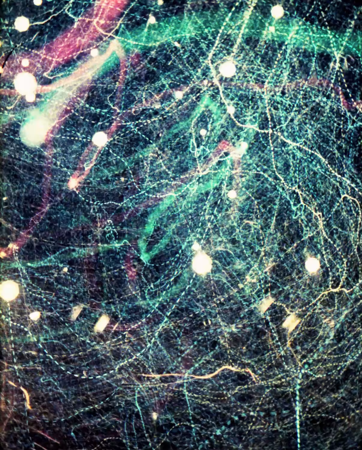 night network