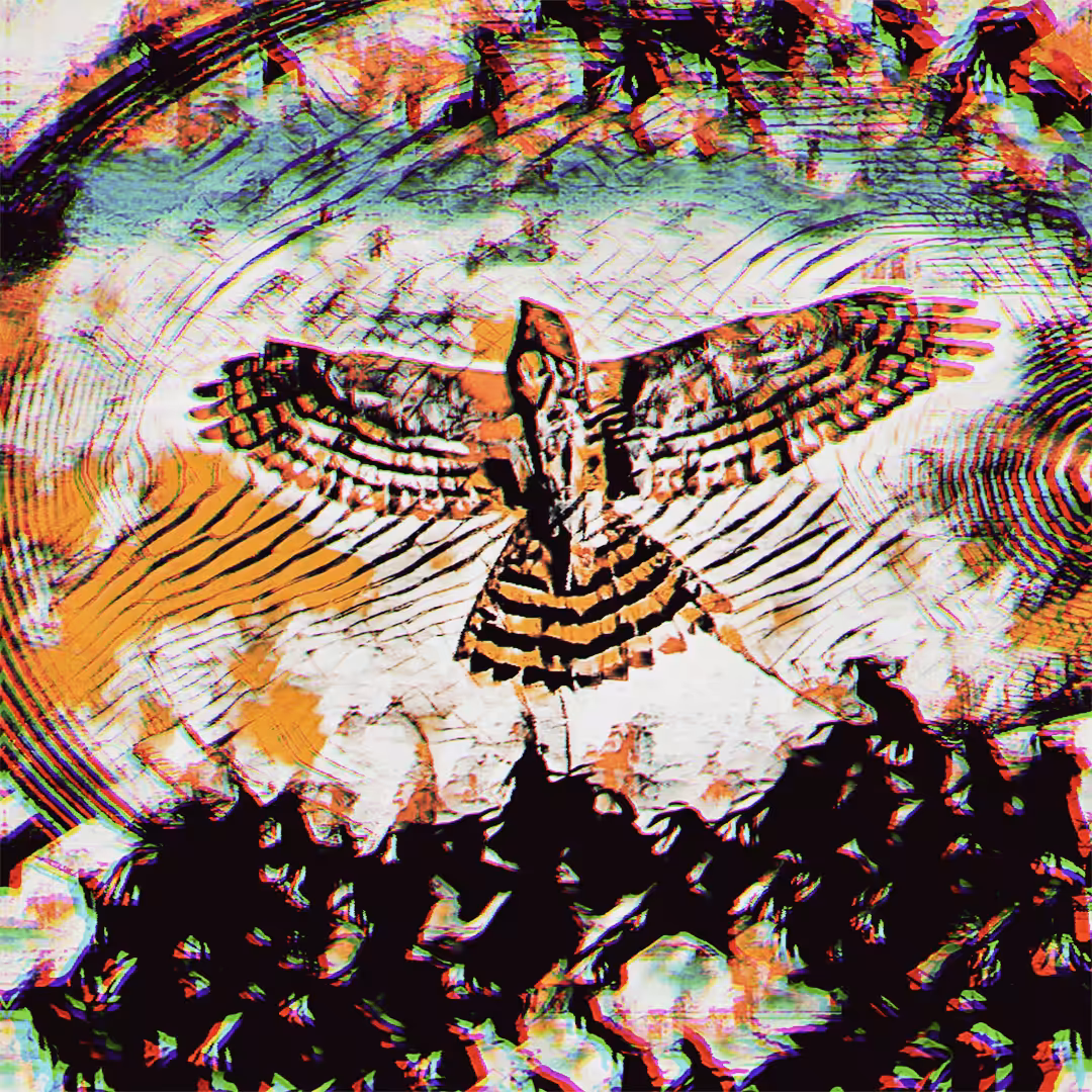 Transcend #5