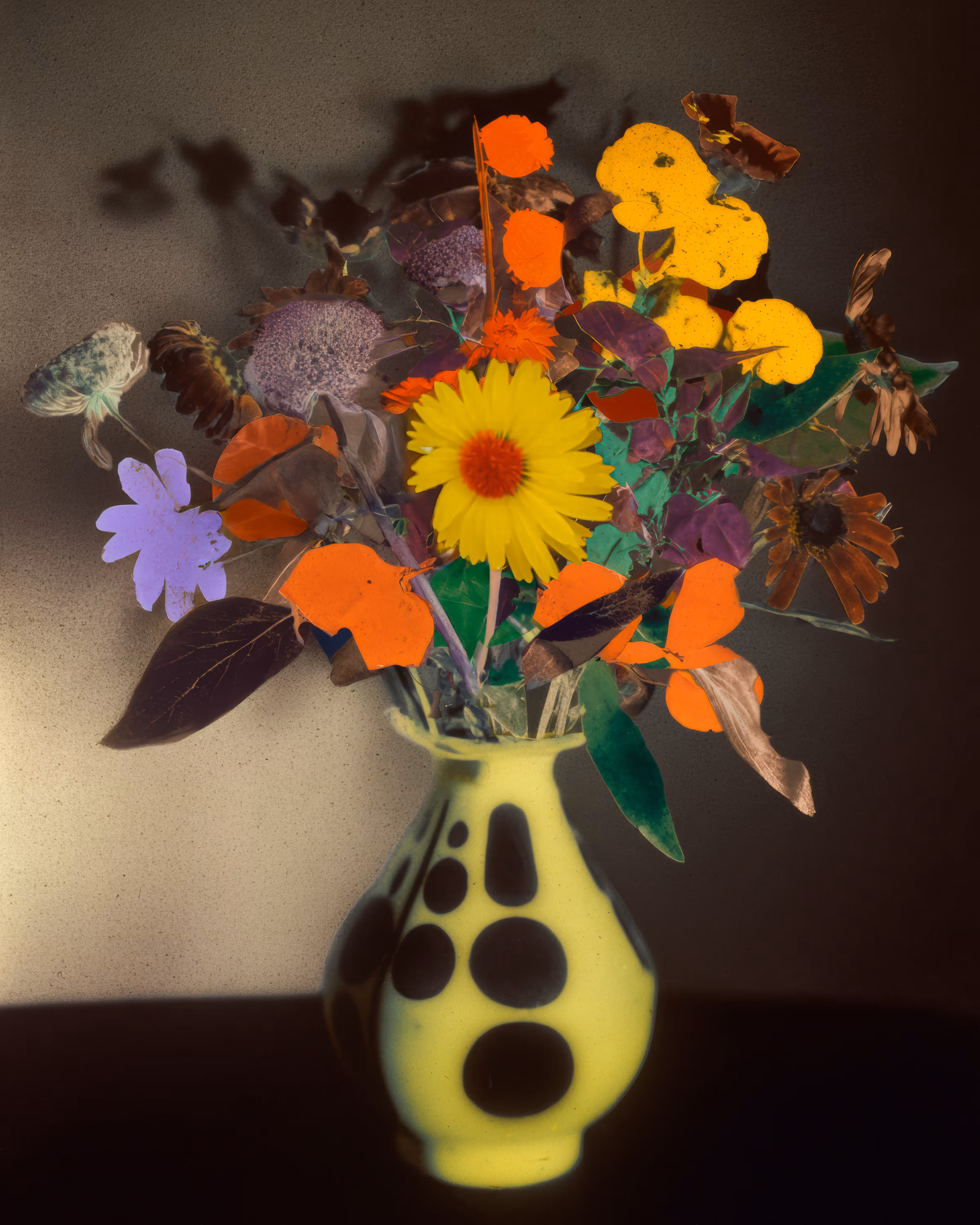 À Propos des Fleurs [Flux]