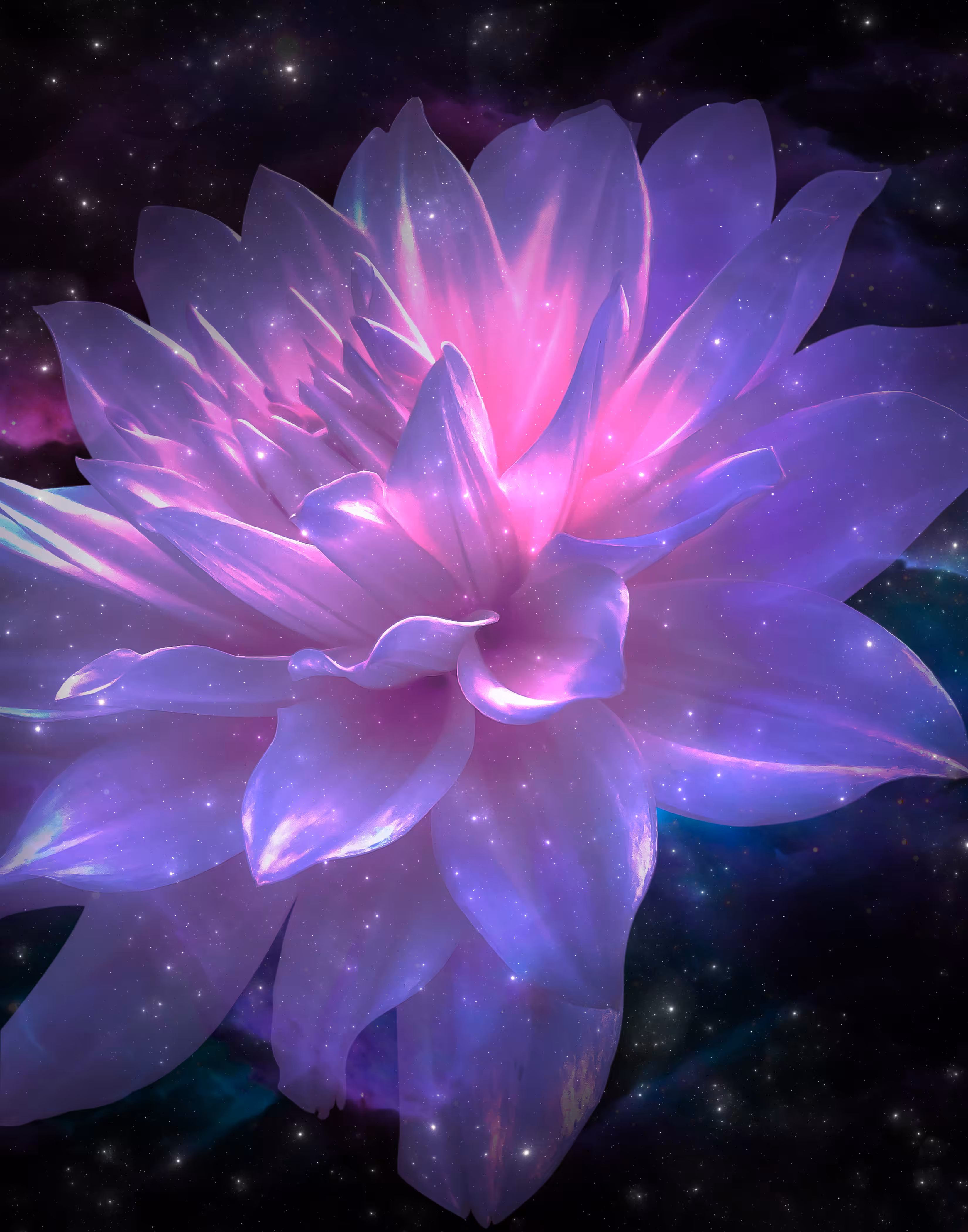 COSMIC BLOOM 05