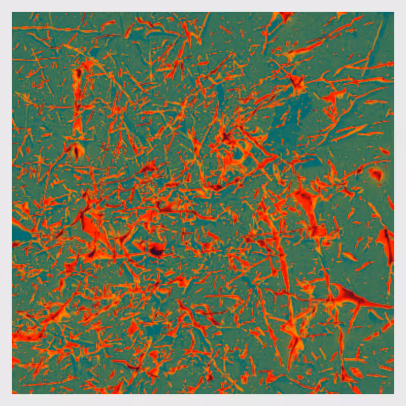 Dynamical System #10
