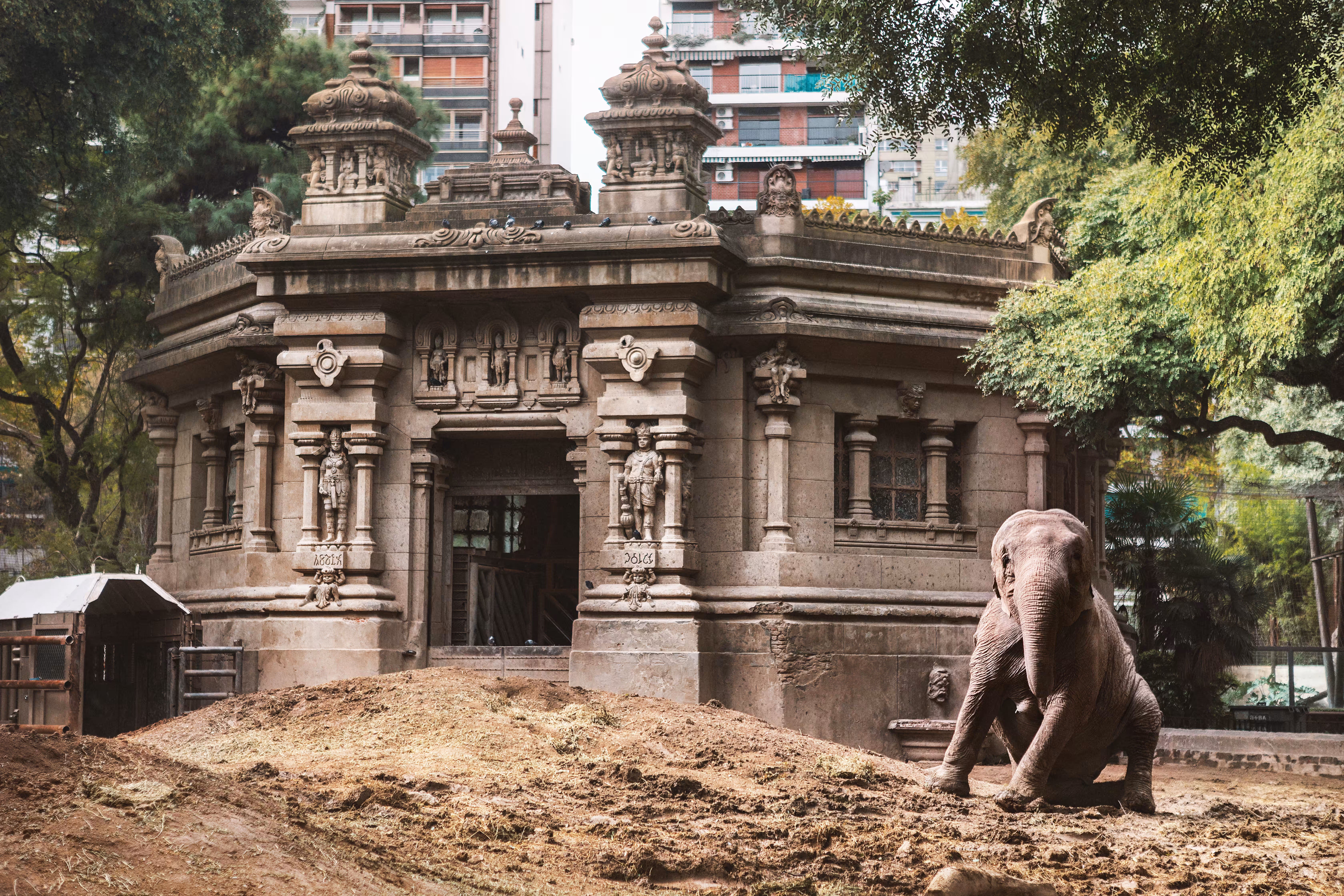 An Elephant Journey 