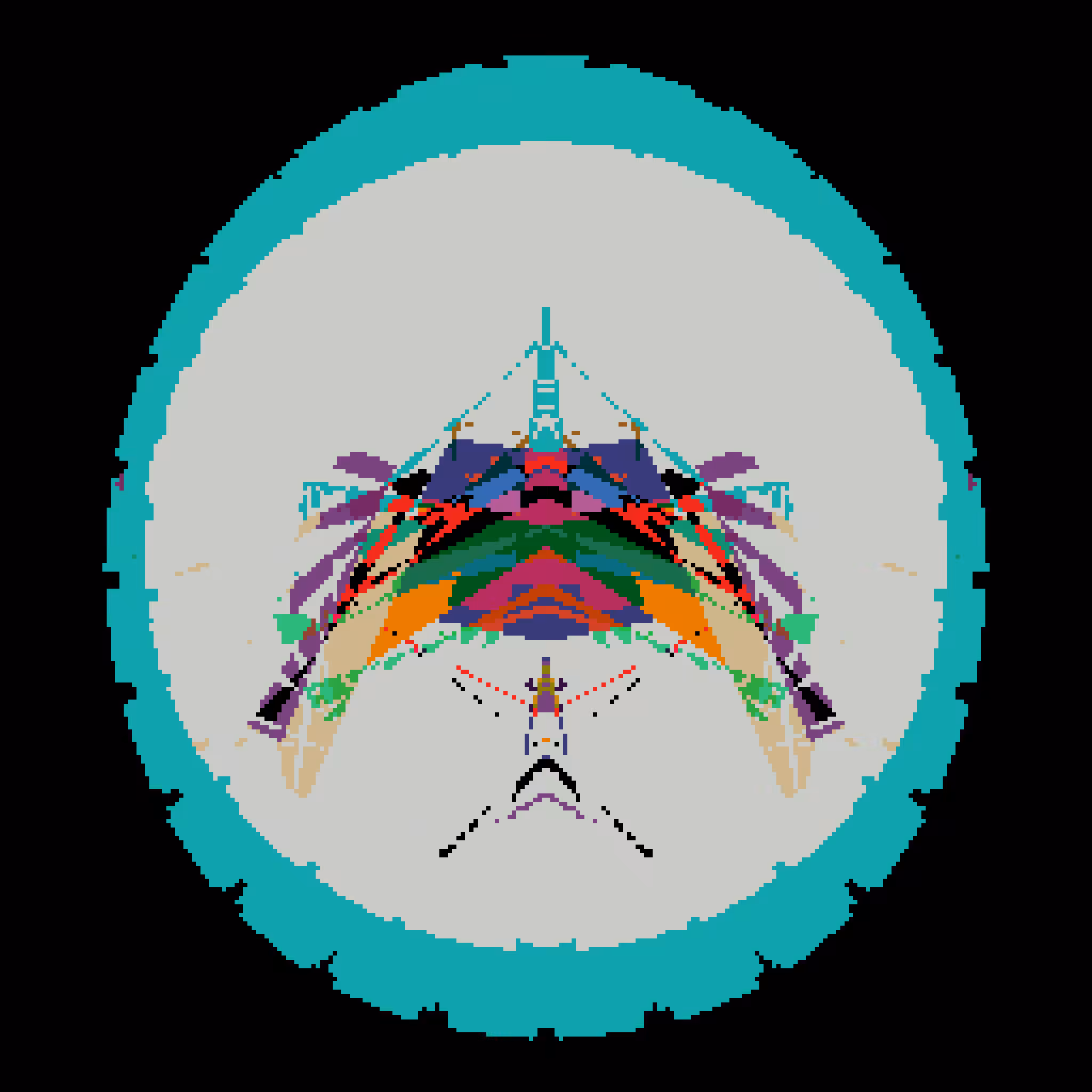 Ideocartography: Planar Slicing Experiment #170