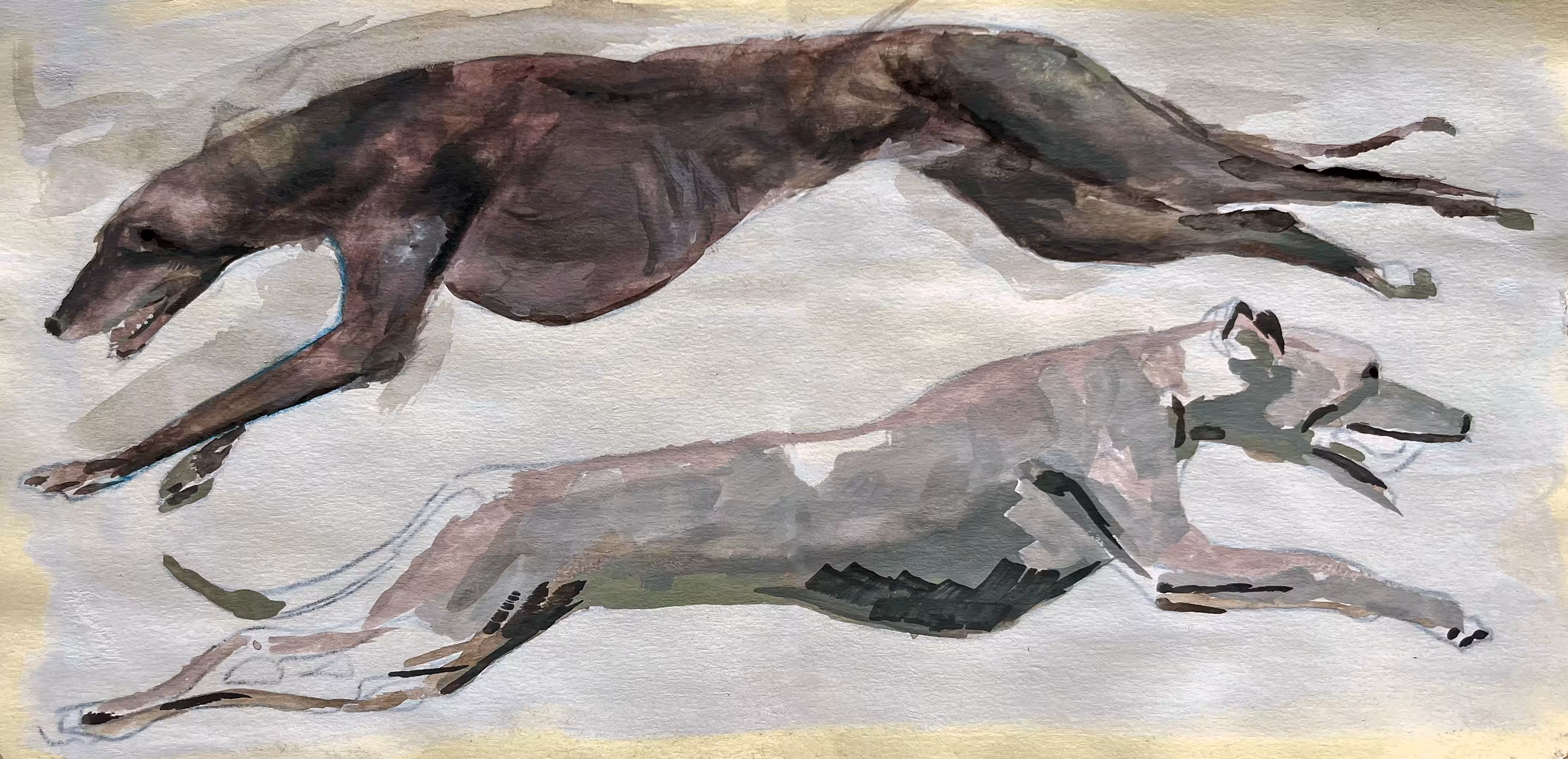 Hounds of Balance