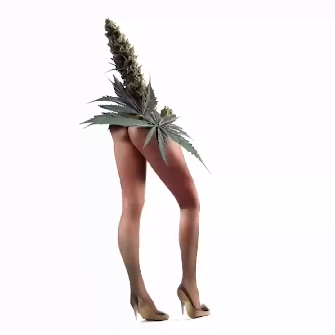 mary jane