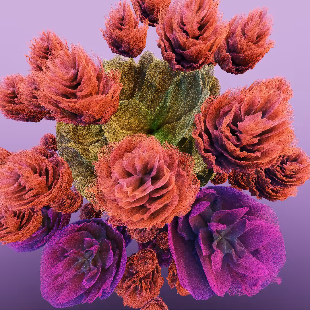 rosarium #66