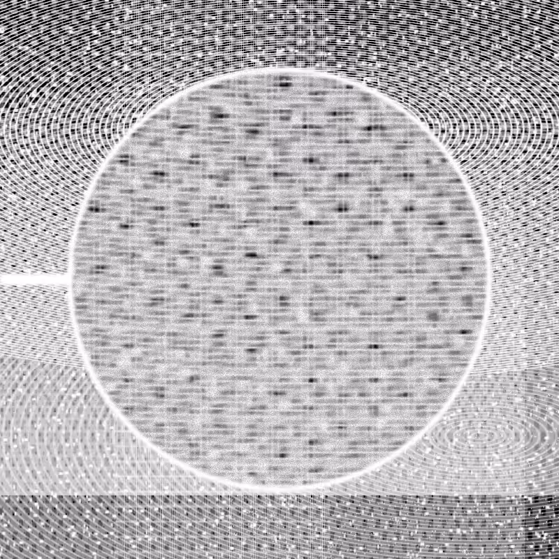 MICROSCOPY #16