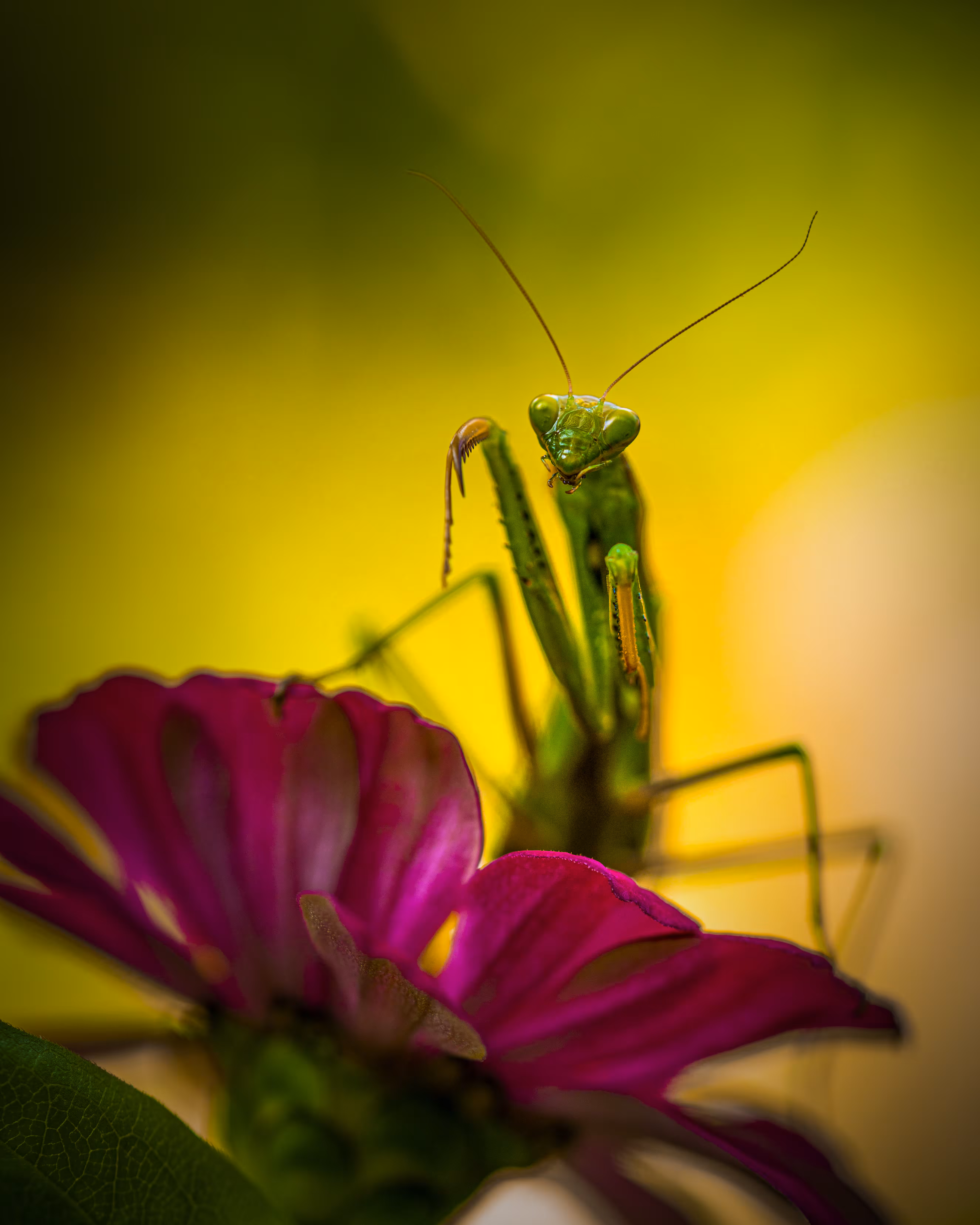 Posing in the Sun