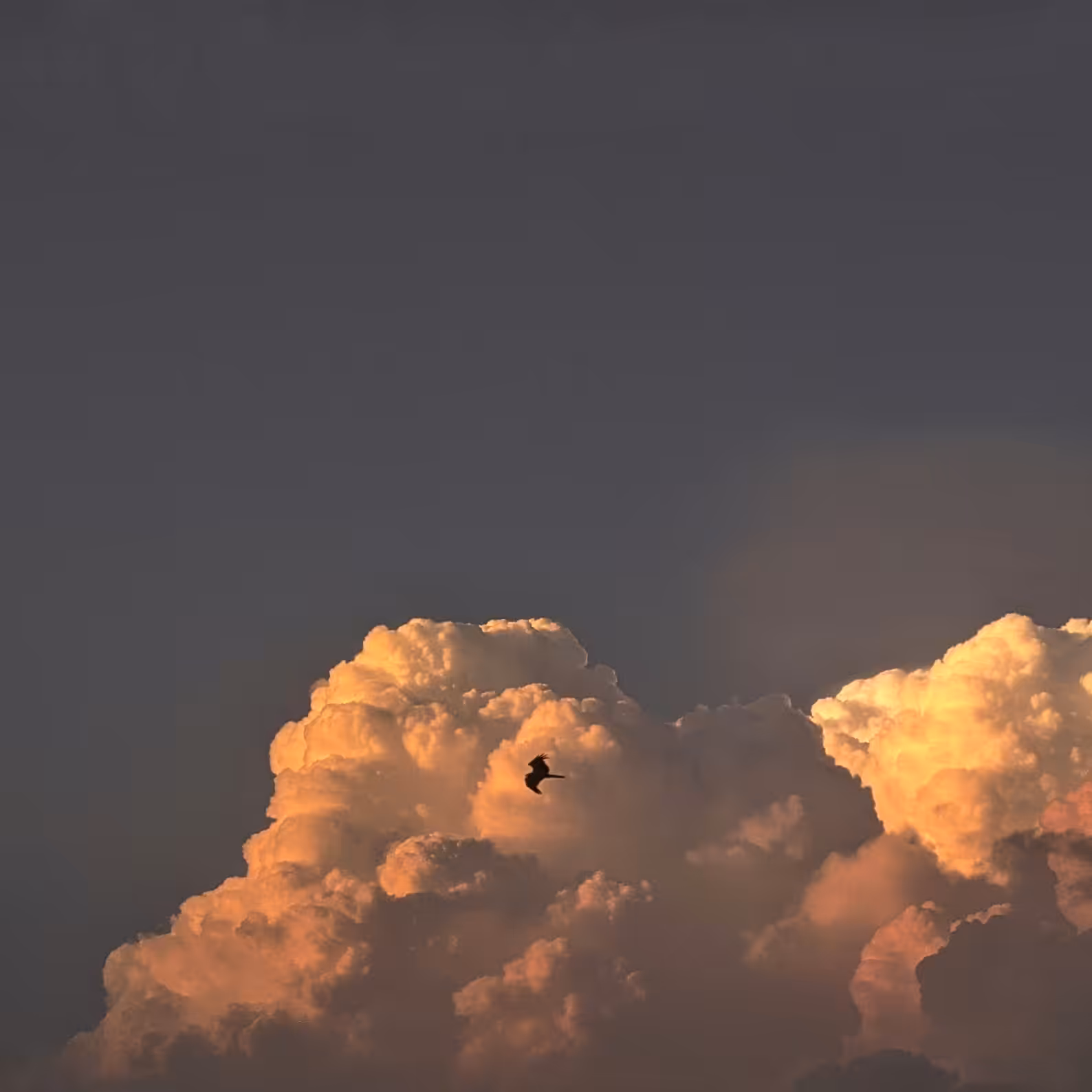 Up in the clouds