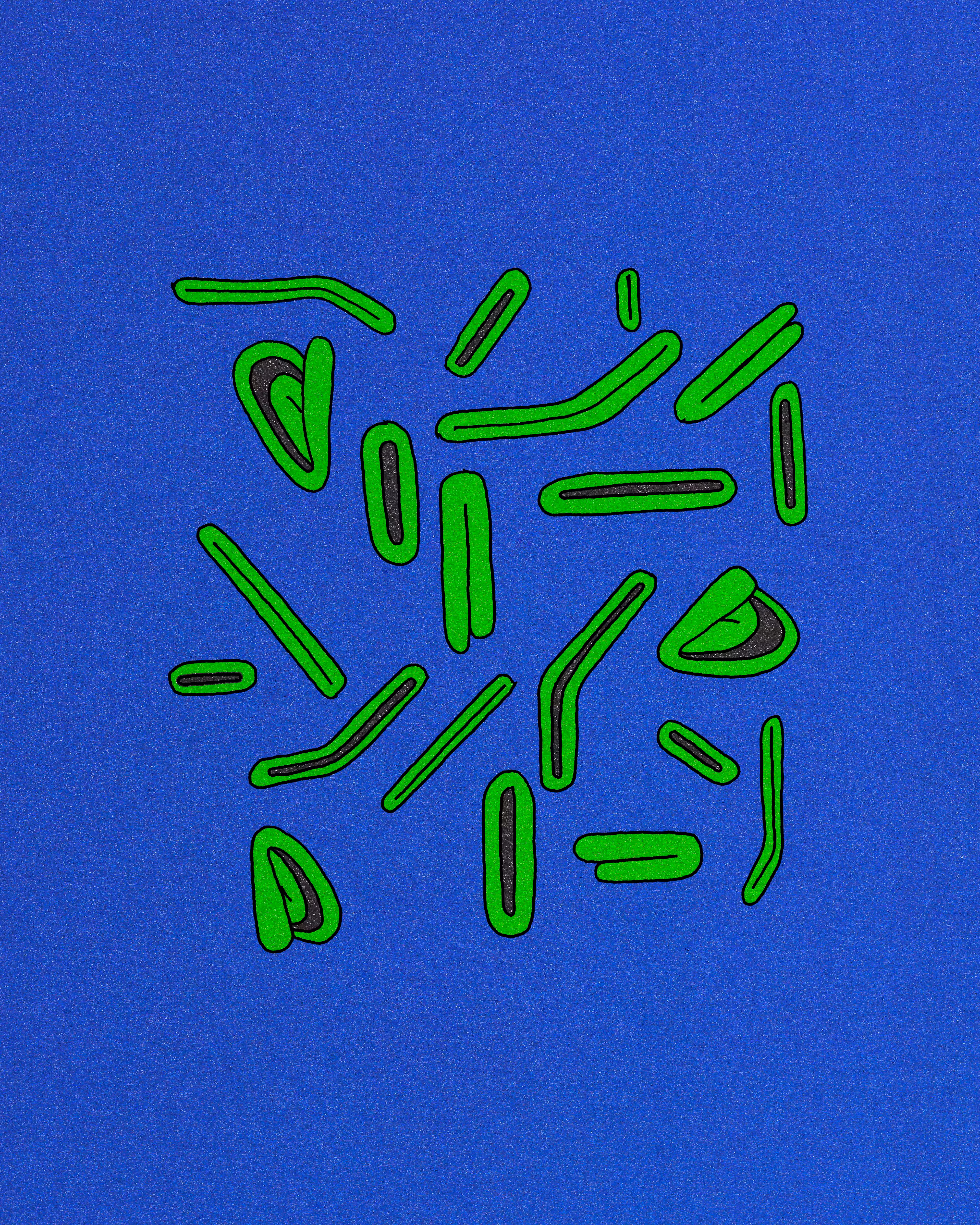 Mouths 08