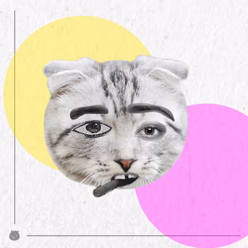 Kittenstein #66