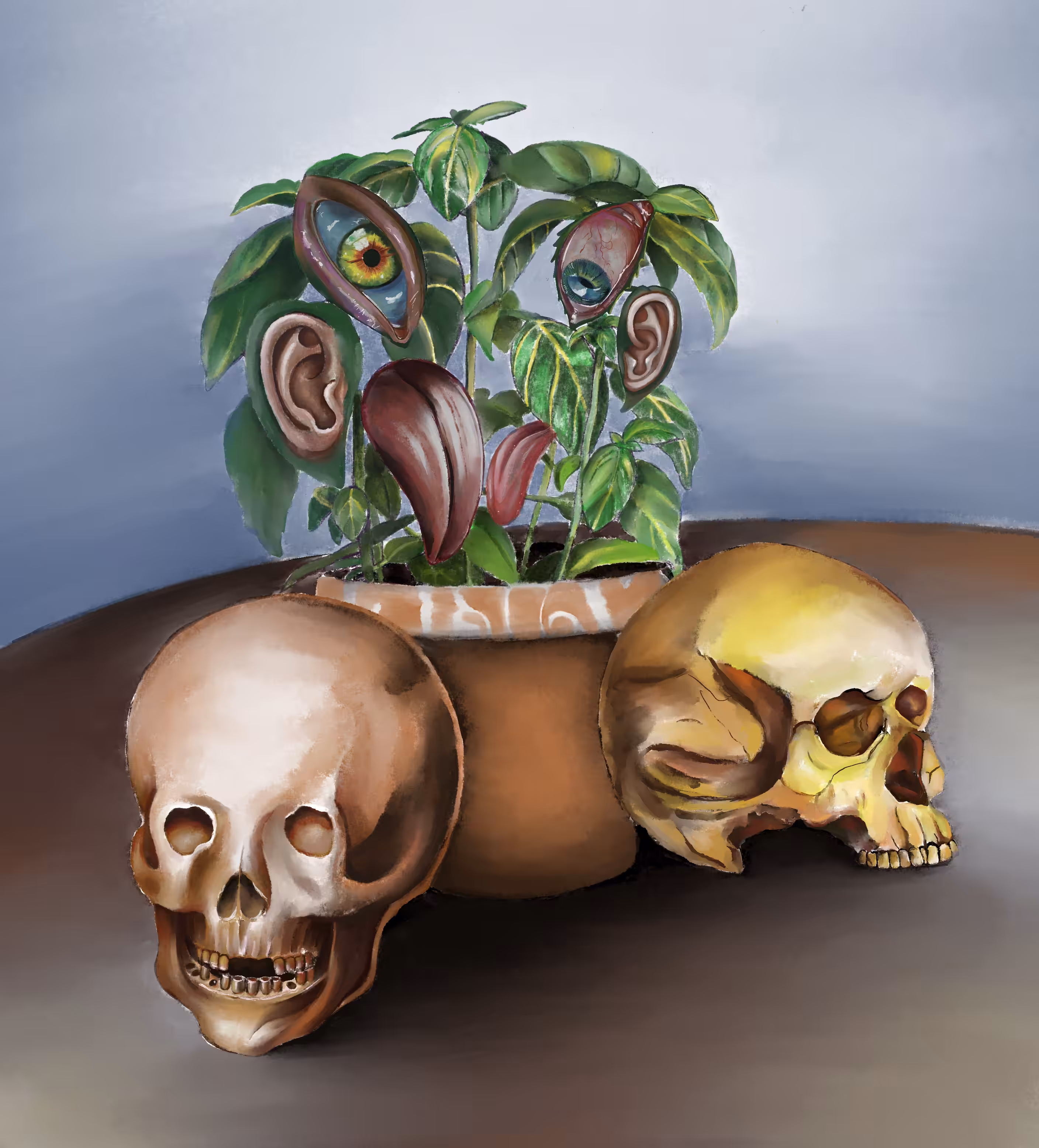 Vanitas with Basil