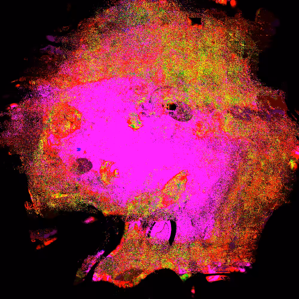 Organically Inorganic #8