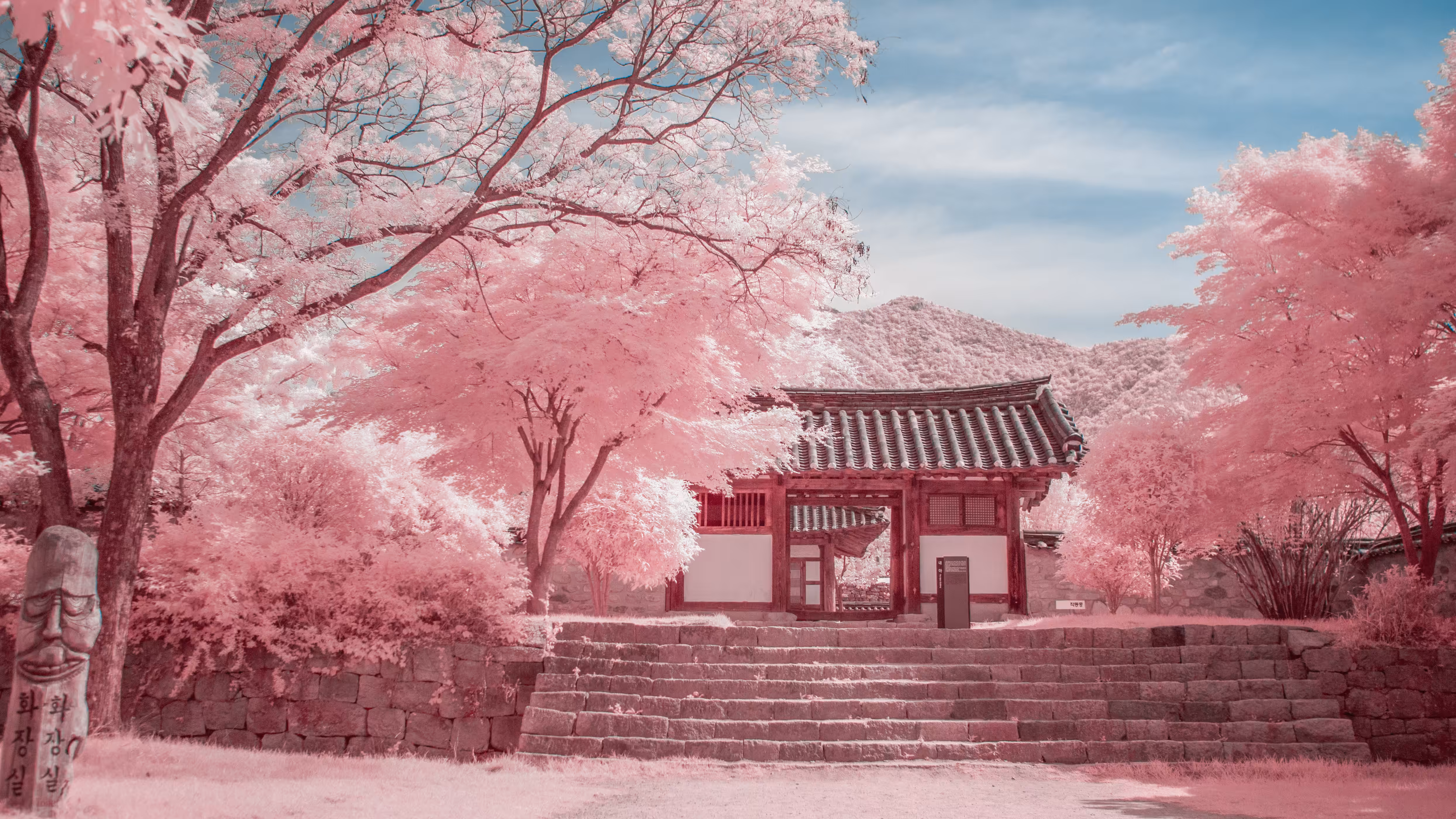 Peace - South Korea