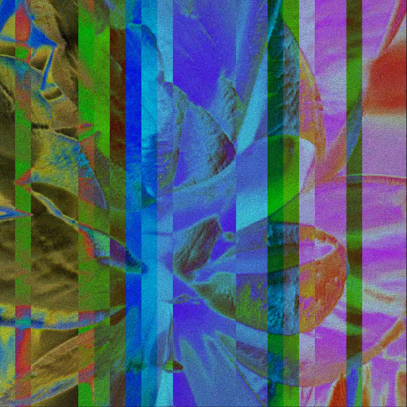 CLDCSMC #24