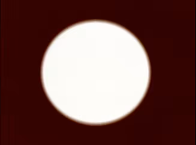 H=N petri dish at 100 days