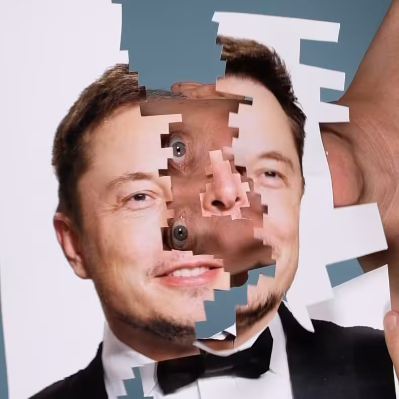 Elon Musk Corrupted Facial File 