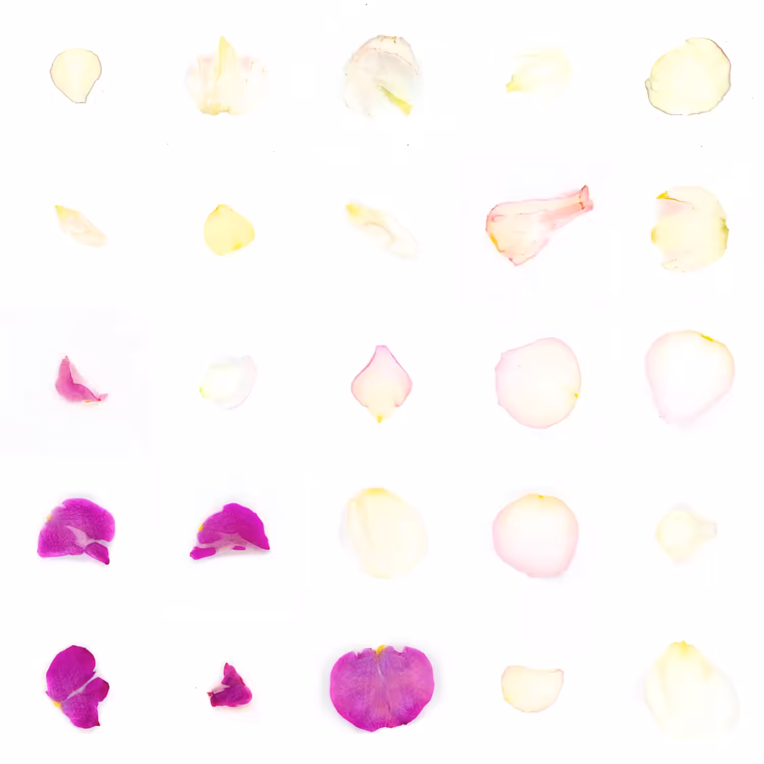 Infinite Petals 5x5#20550