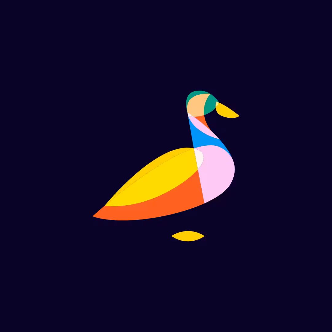Duck 