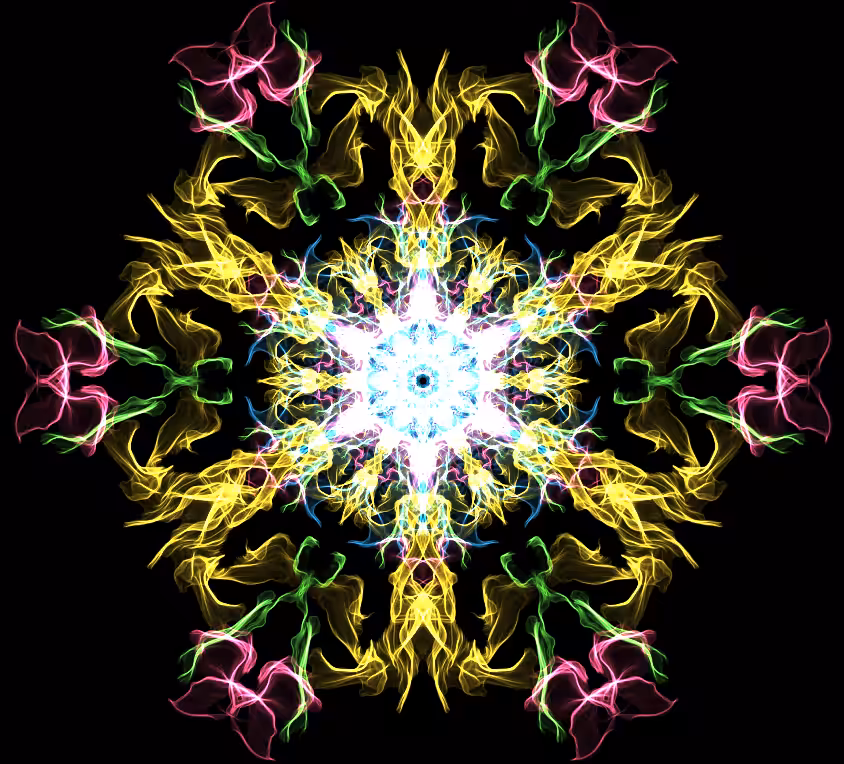 Flower blossoming #2