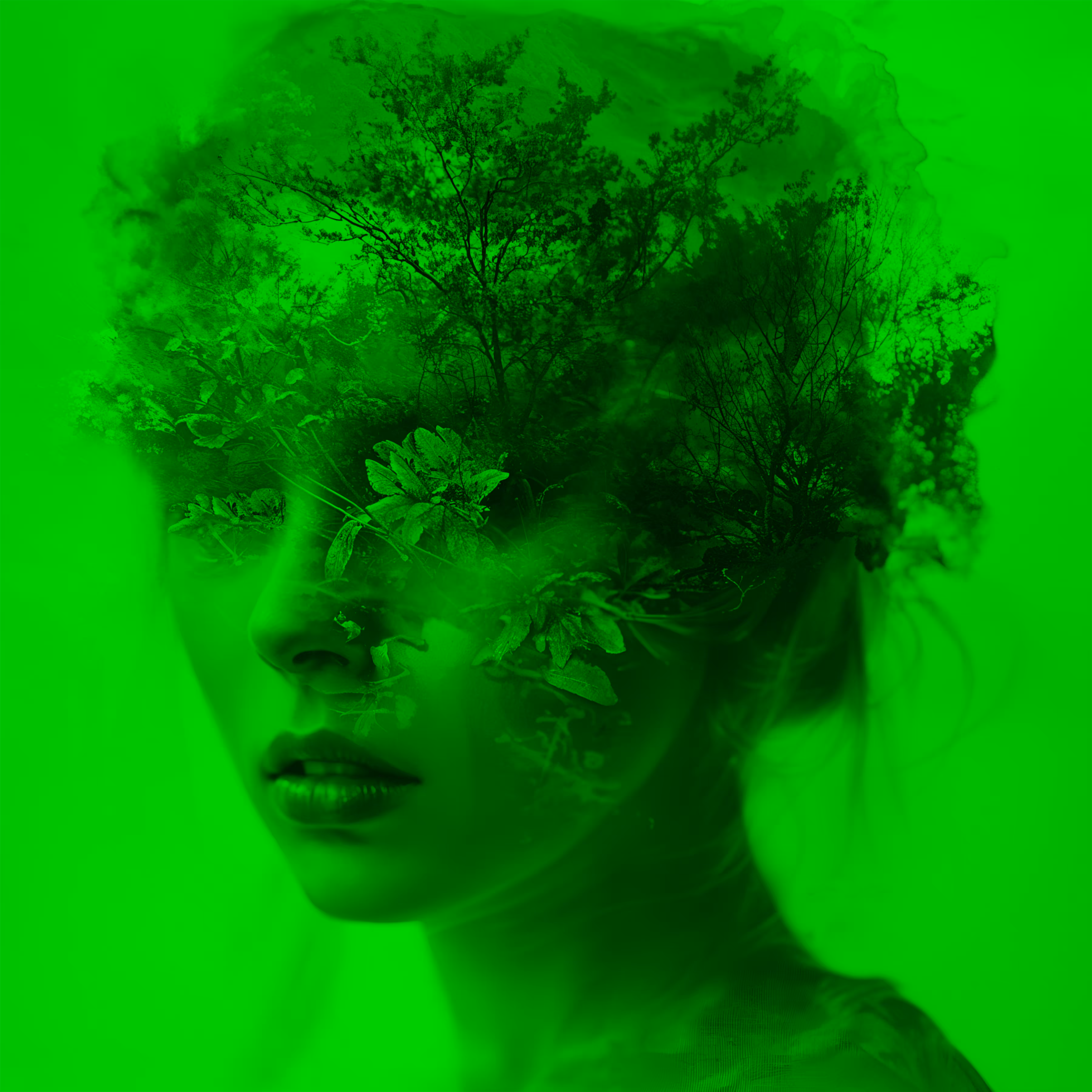Roots of the Mind