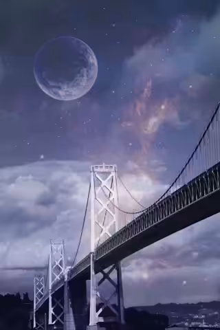 The Bay